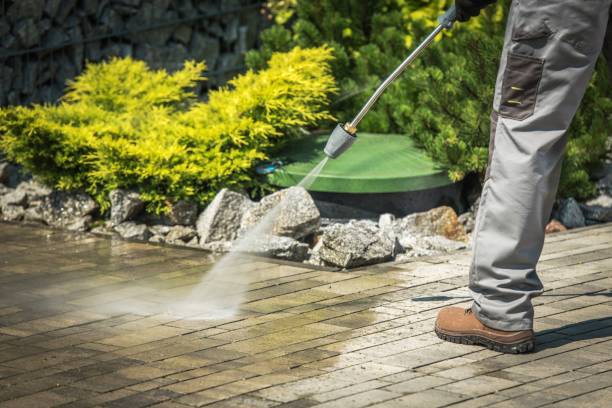 Best Animal Enclosure Cleaning  in Berry Hill, TN